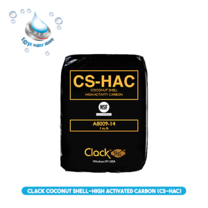 Coconut Shell-High Activated Carbon (CS-HAC)