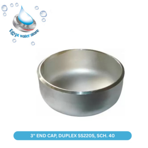 Kalikund 3″ Duplex SS2205 End Cap Sch. 40